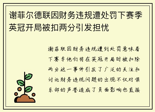 谢菲尔德联因财务违规遭处罚下赛季英冠开局被扣两分引发担忧